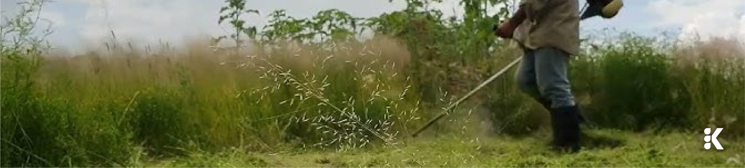 Servicios - Corte de maleza - Terkleen 1